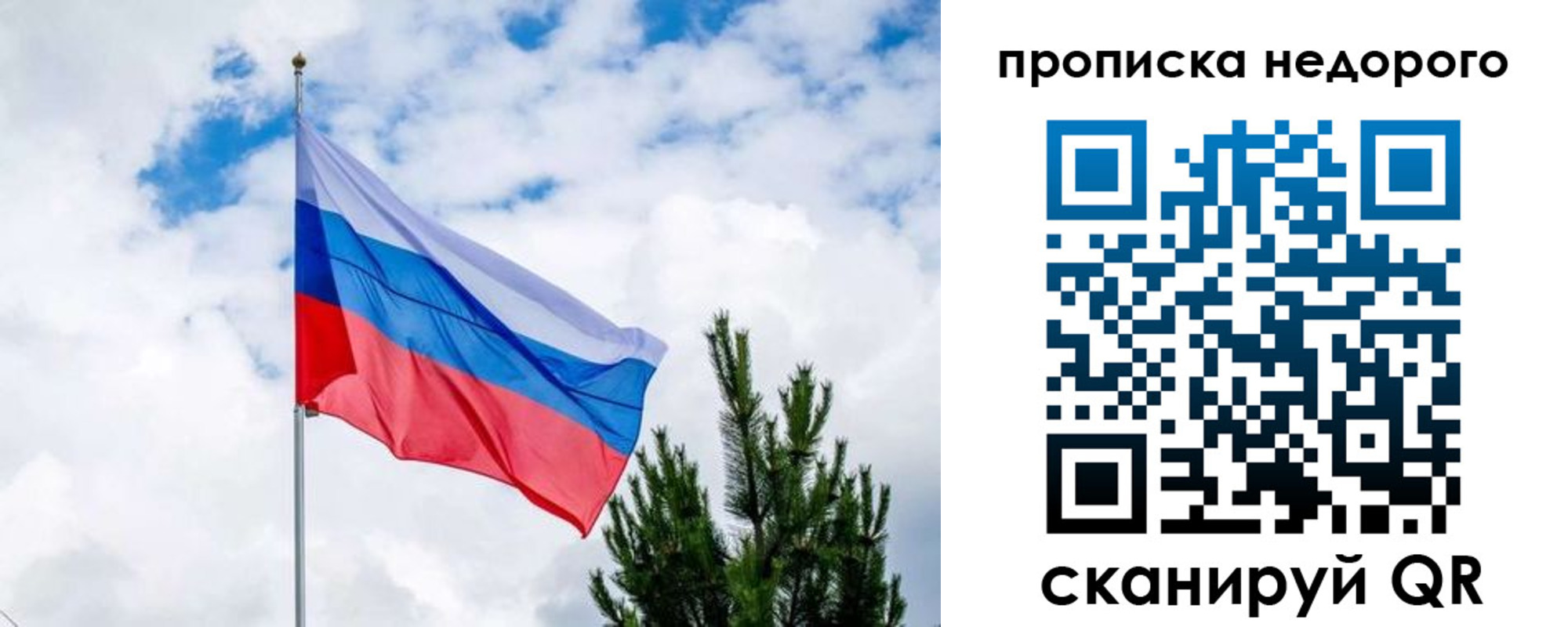 прописка ребенка в Электрогорске